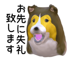169321416