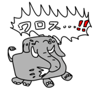 16932916