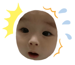 169335314