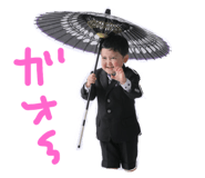 169343412
