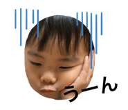 169400031