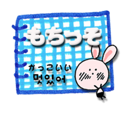 16941020