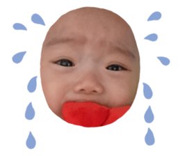 169423311