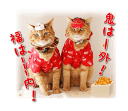 16946596
