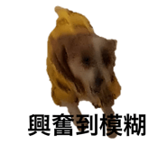 169504913