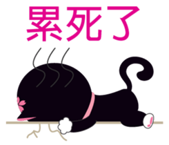 16963721