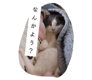 169678303