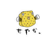169737596