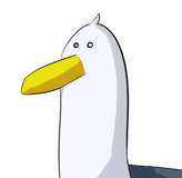 16991363