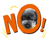 169999145
