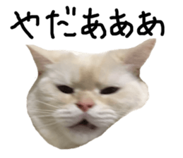 170039241