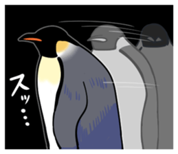 17006235