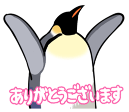 17006250