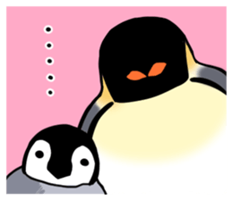 17006253
