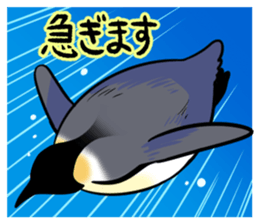 17006256