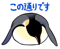 17006258