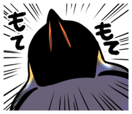 17006261