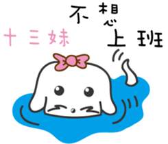 170079376