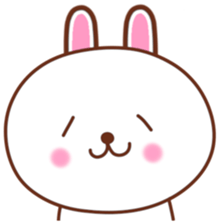 170113851