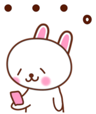 170113884