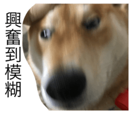 170179397