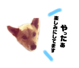 170182040
