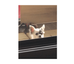 170204932