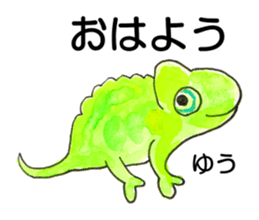 170207666