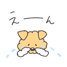 170243