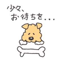 170264
