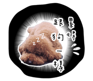 170268075