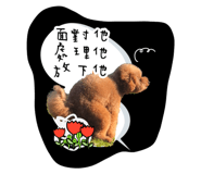 170268084