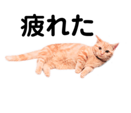 170270680