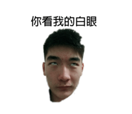 170277833