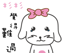 170326023