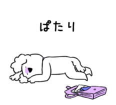 17033386