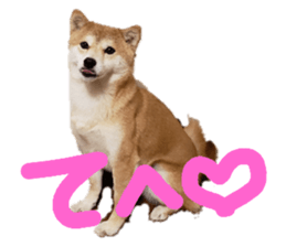 170342543