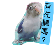170343742