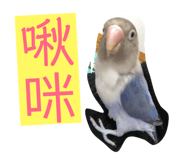 170343743