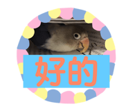 170343744