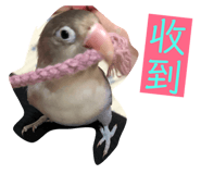 170343746
