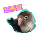 170343748