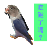 170343749