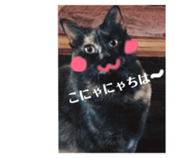 170354523