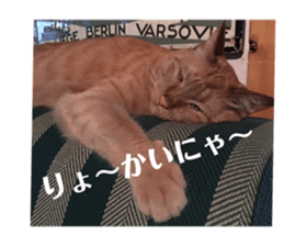170354529