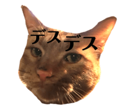 170354552