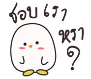 17040364
