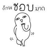 17046606
