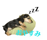 170466080