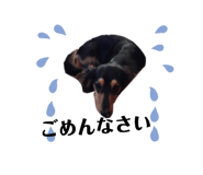 170466083